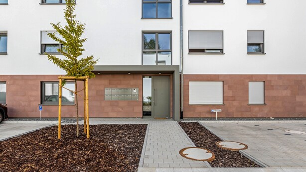 Un bâtiment doté de nombreuses fenêtres, d’une porte et d’un petit arbre planté dans un pot.
