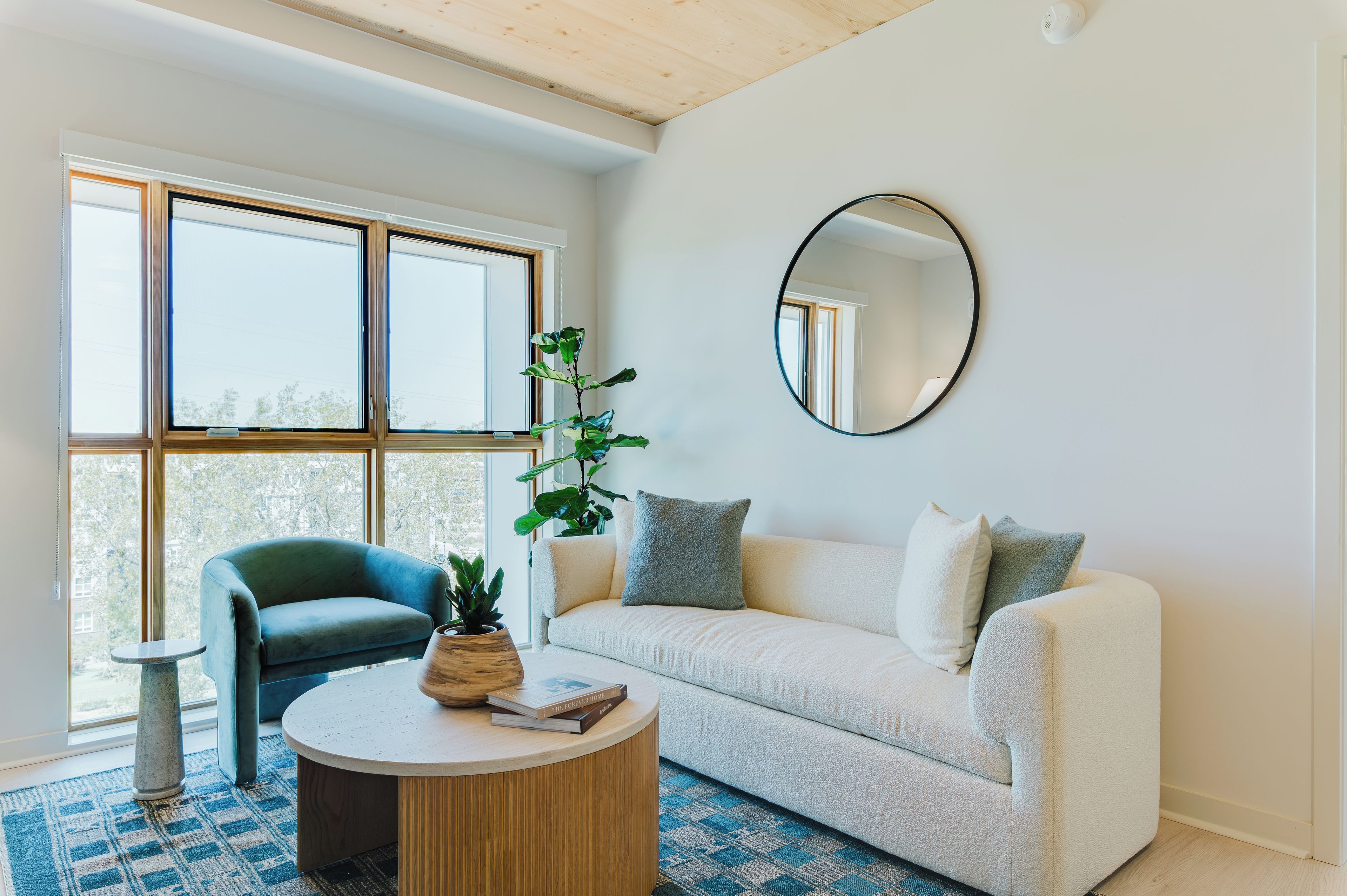 A modern living room with a sofa, a round coffee table, a chair, and a potted plant.