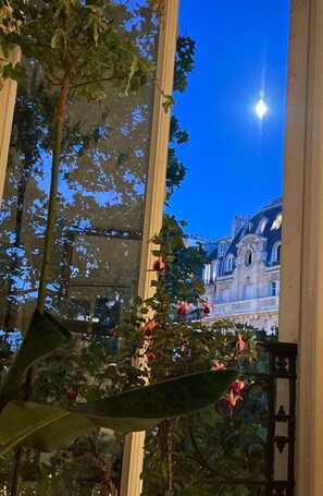 Blick durch ein Fenster, im Hintergrund ein Gebäude, ein Baum mit Blättern und ein klarer Himmel.