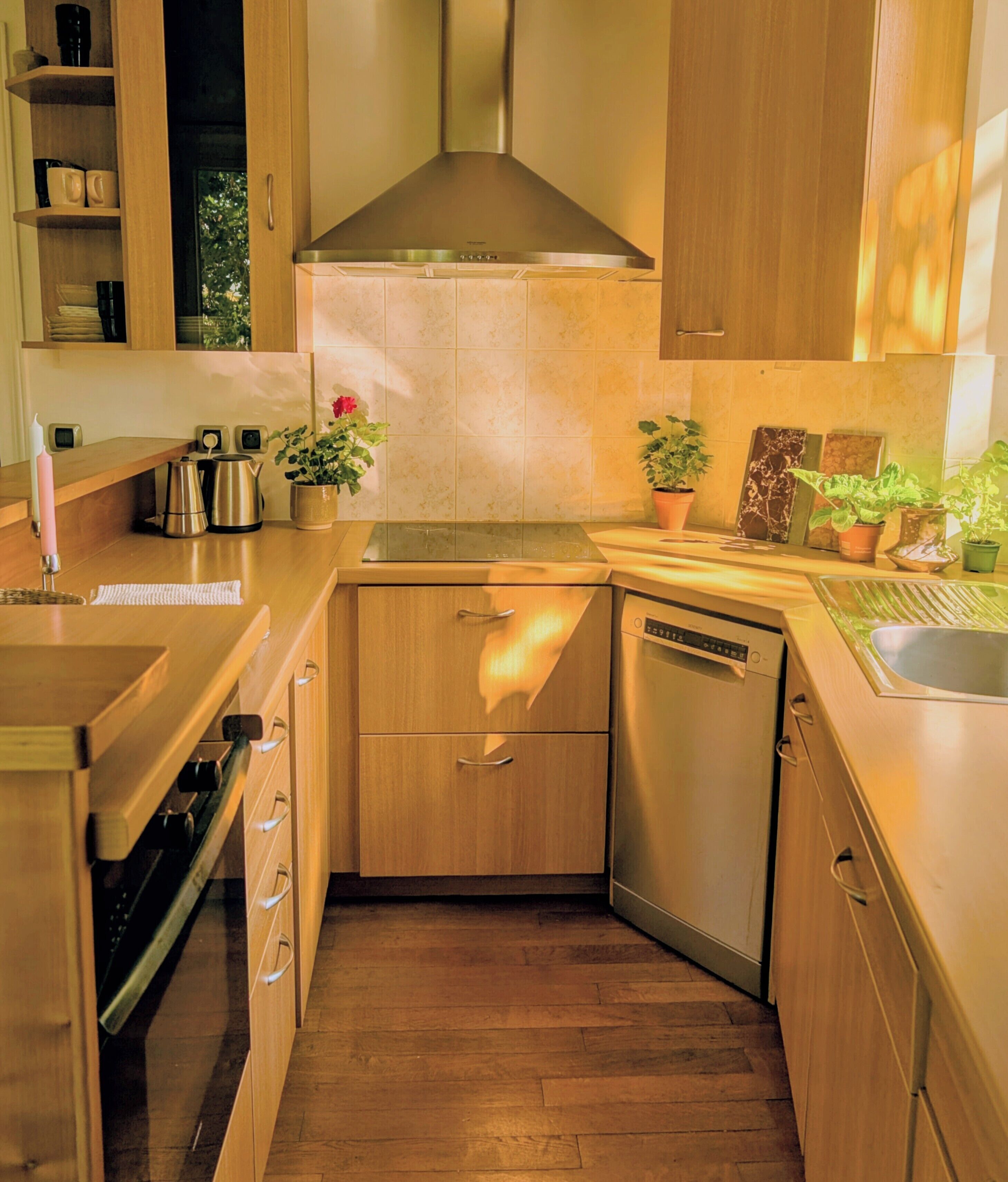 A compact kitchen with wooden cabinets, a stainless steel range hood, a dishwasher, and a countertop with potted plants.