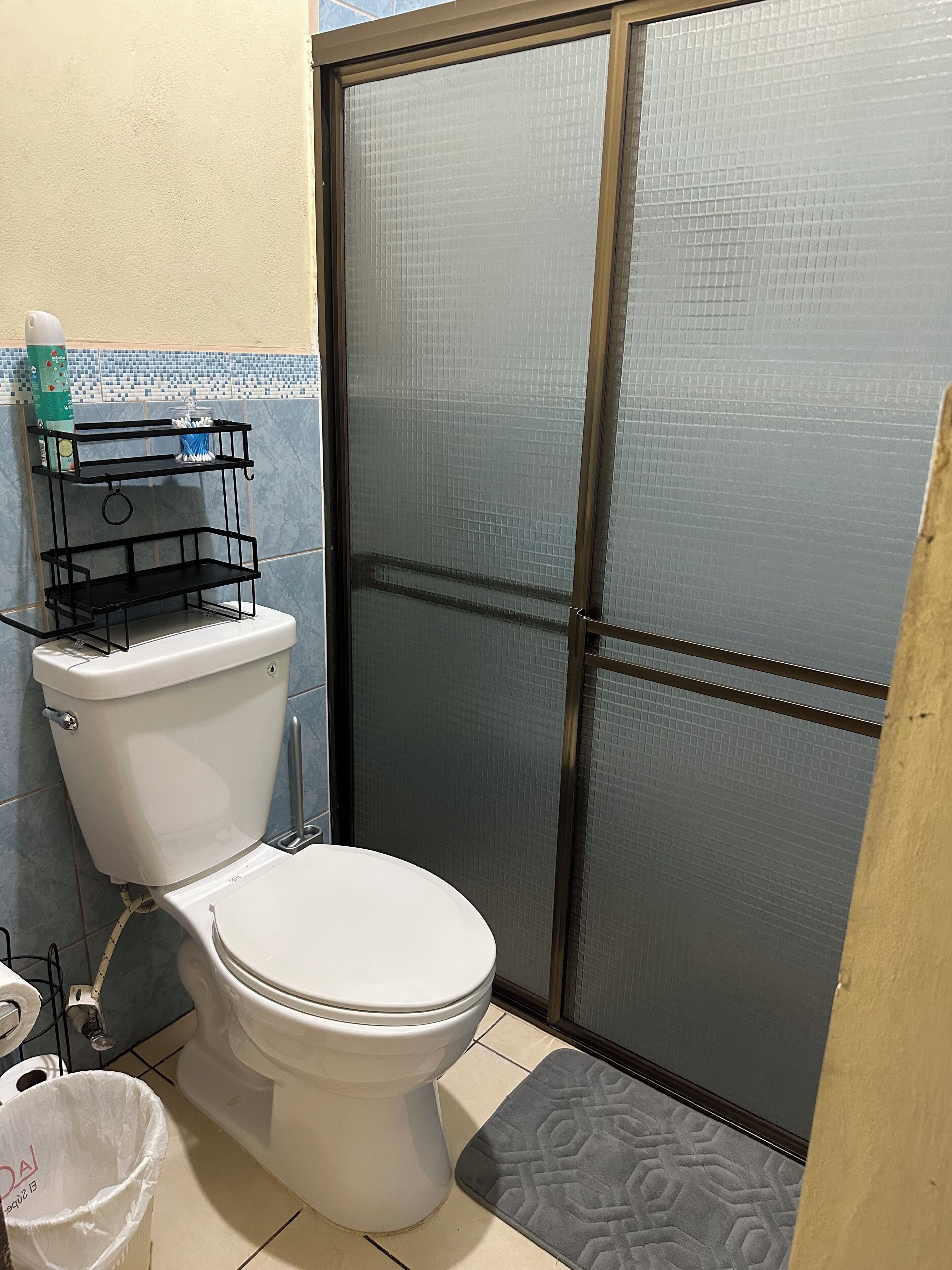 Shower, towels, soap, toilet paper
