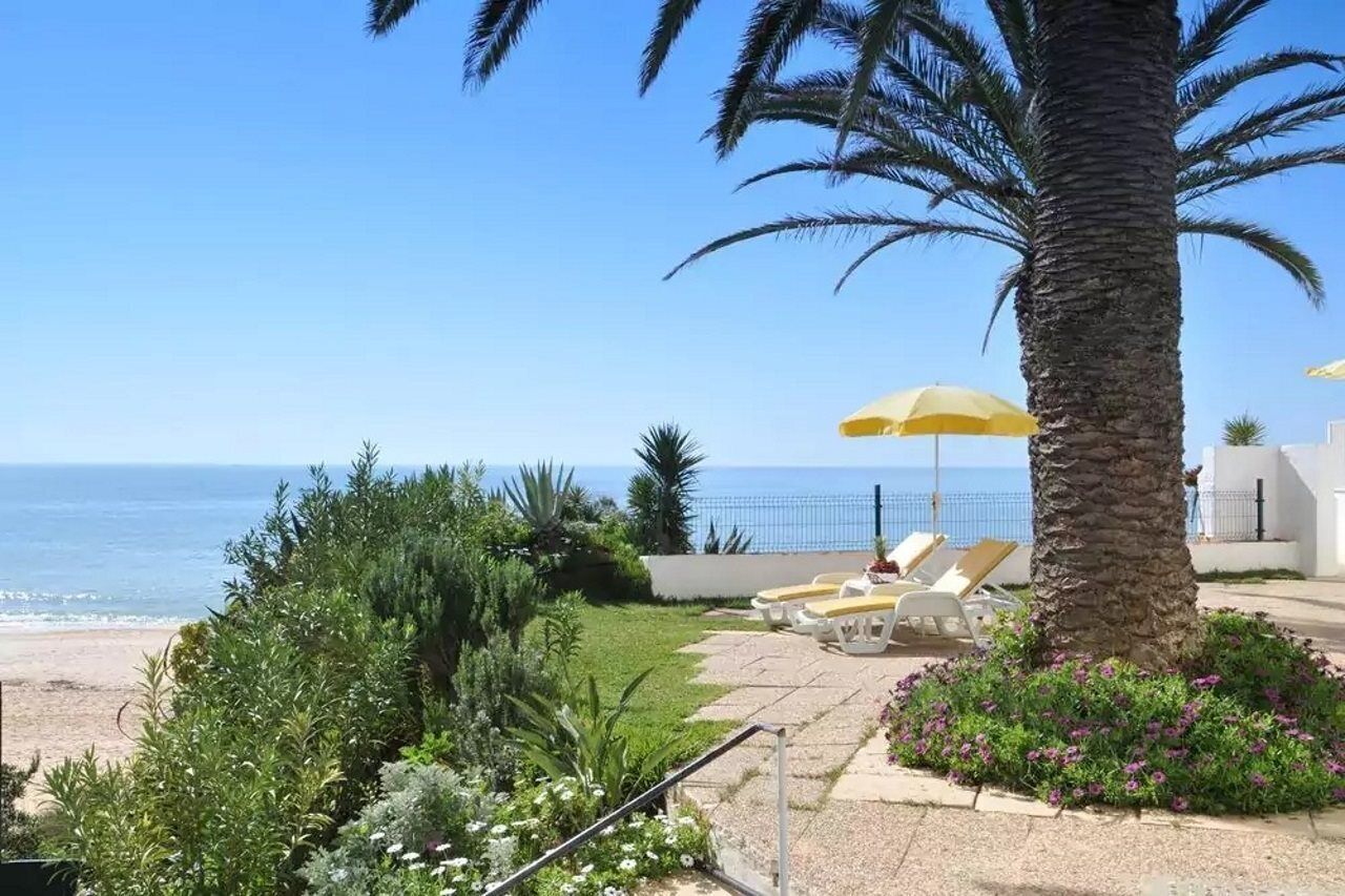 Une terrasse au bord de la plage, avec des chaises longues et un palmier, d’où l’on a une vue sur l’océan.