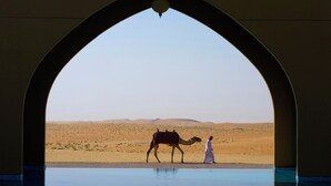 A camel and a person walking on a poolside in a desert landscape. - Aldhafra Resort, Vignette Collection, an IHG Hotel (Madinat Zayed)