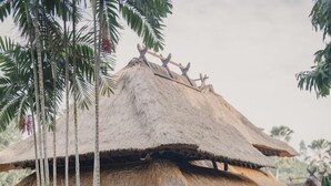 A thatched-roof structure with a covered entrance, surrounded by tropical vegetation.
