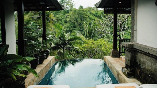 A poolside area with lounge chairs and potted plants.