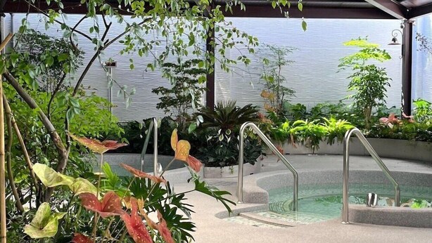 An outdoor pool area with a metal staircase leading into the water, surrounded by various plants and a covered structure overhead. - Guan Xiang Century Hot Spring Hotel (Jiaoxi)