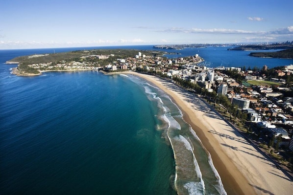 Beach - Sydney Manly Beach (Sydney)