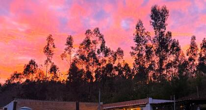 Quinta María Noem, where the soul finds its way!
