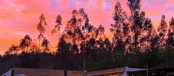 Quinta María Noem, where the soul finds its way!