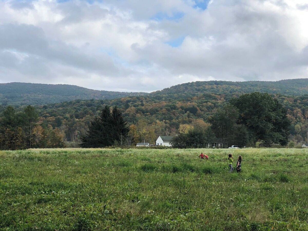 A rural landscape with a white house, open fields, and a forested hill in the background.