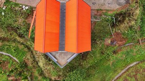 Un edificio con una estructura de techo triangular distintiva, rodeado de vegetación y un área pavimentada con diseño decorativo.