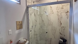 A bathroom with a toilet, a sink, and a shower enclosure.