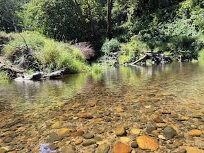 Miscellaneous - Charming riverfront campground on the Oregon coast ready to relax in nature (Florence)