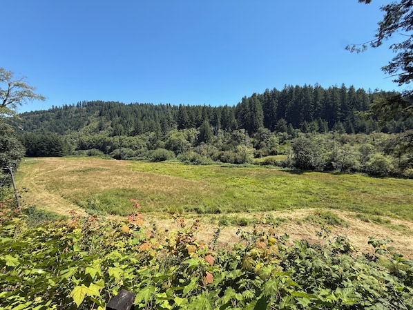 Miscellaneous - Charming riverfront campground on the Oregon coast ready to relax in nature (Florence)