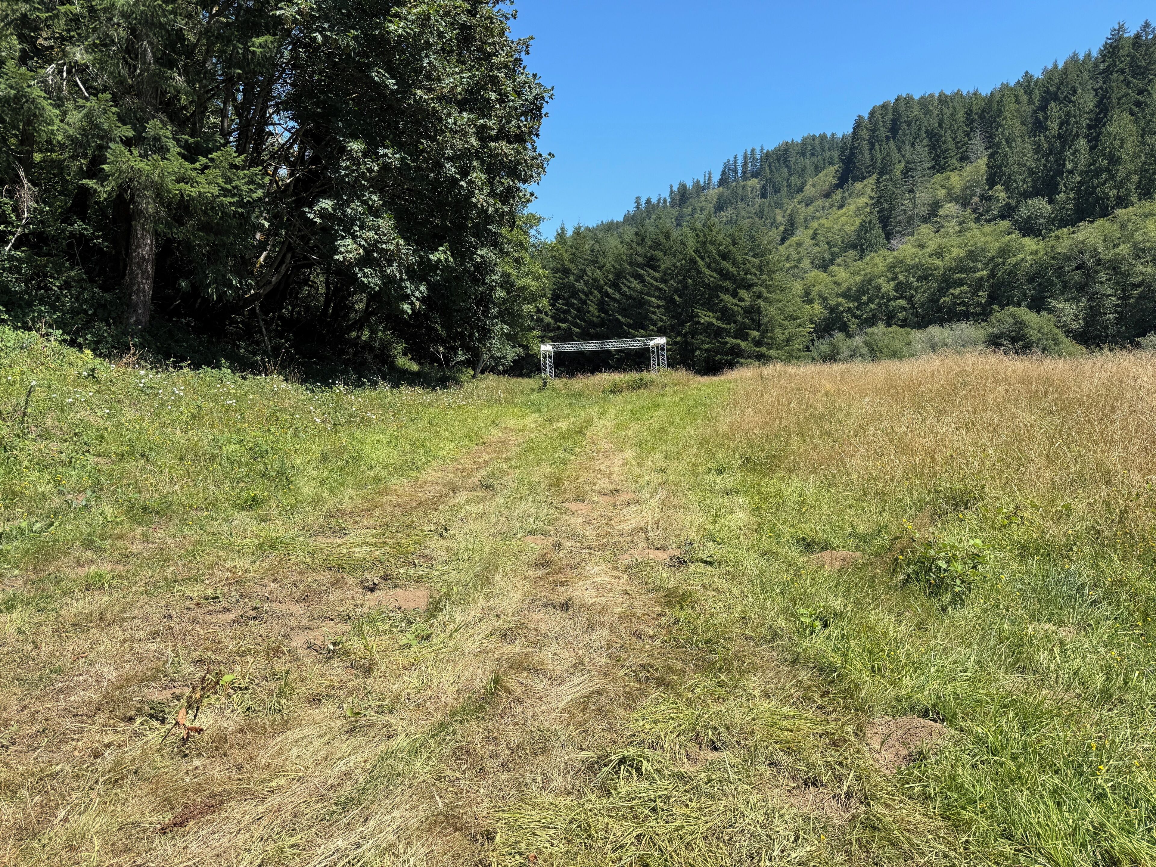 A rural landscape with a dirt path leading to a metal structure, surrounded by dense forest and a clear sky.