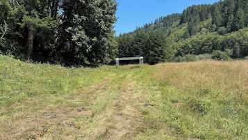 A rural landscape with a dirt path leading to a metal structure, surrounded by dense forest and a clear sky.