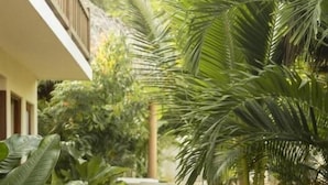 A pathway flanked by lush tropical plants leading to a staircase. - Angelique s Boutique Spa & Suites (Troncones)