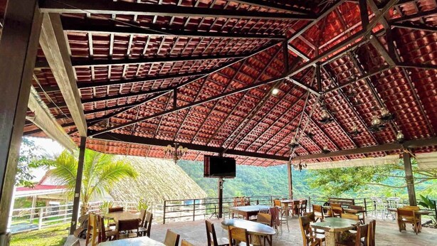 An outdoor dining area with tables and chairs, a thatched roof, and a view of greenery.