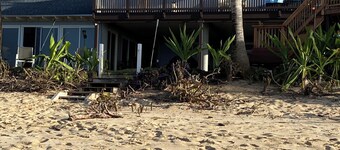 papailoa point