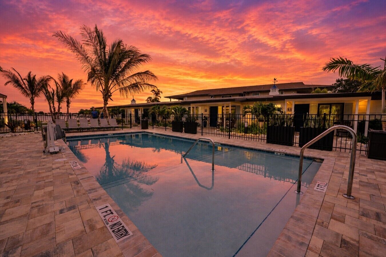 A swimming pool with a sunset view, palm trees, and a fenced area with lounge chairs.