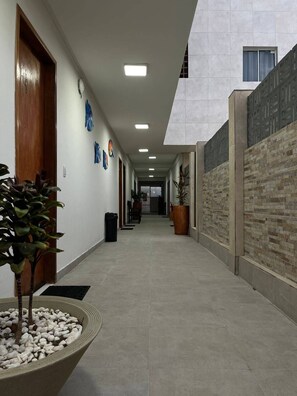 Um corredor com uma porta de madeira, um vaso de planta e uma lixeira.