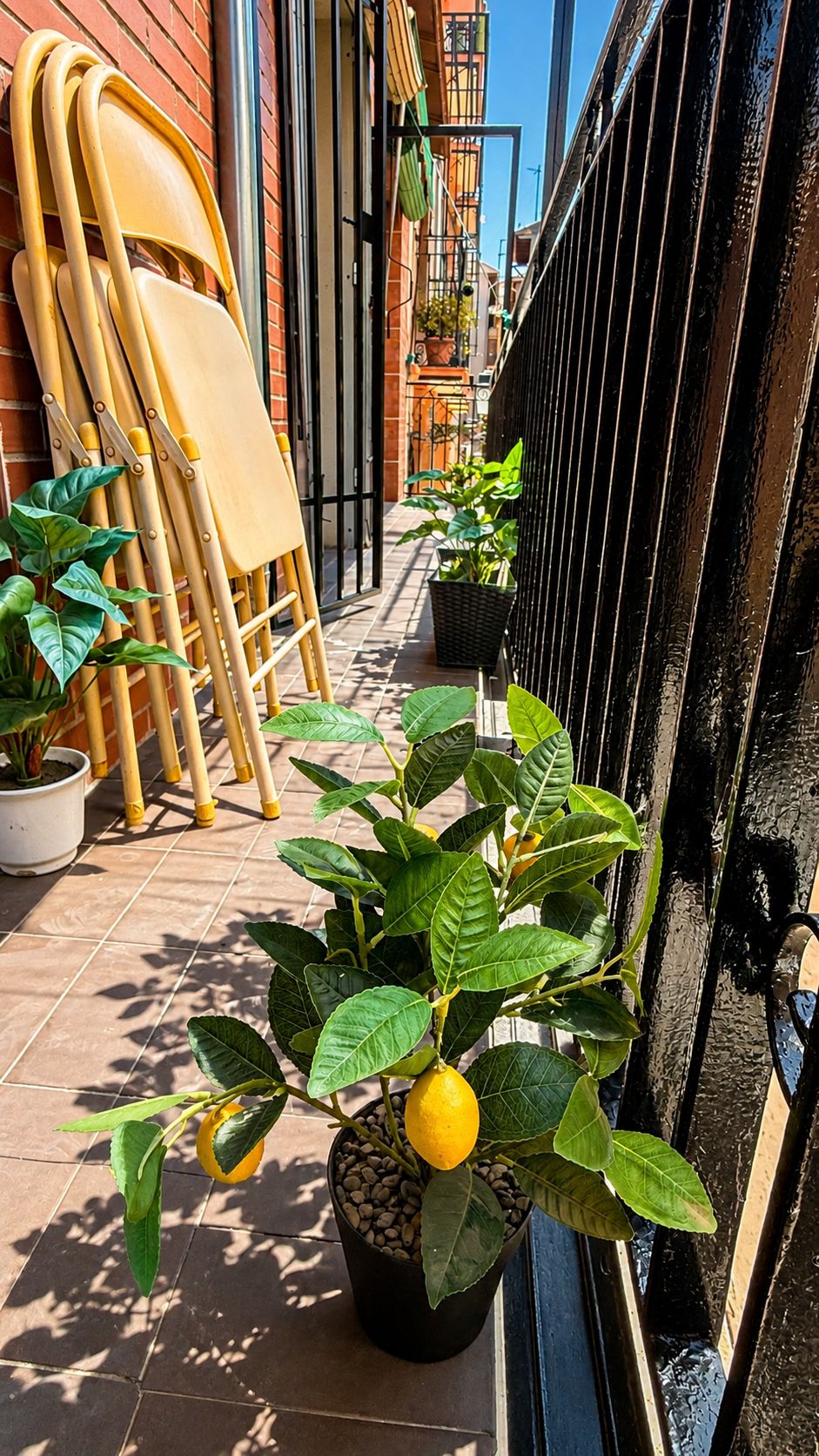 Un étroit couloir extérieur agrémenté de plantes en pot, avec une grille en métal et des chaises empilées.