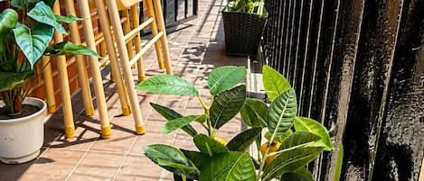 Un étroit couloir extérieur agrémenté de plantes en pot, avec une grille en métal et des chaises empilées.