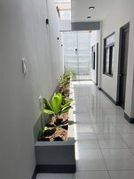 Un pasillo con una fila de plantas, piso de baldosas y puertas a un lado.