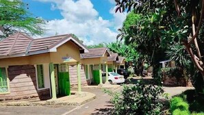 A row of single-story buildings with green doors, a paved road, and surrounding greenery.