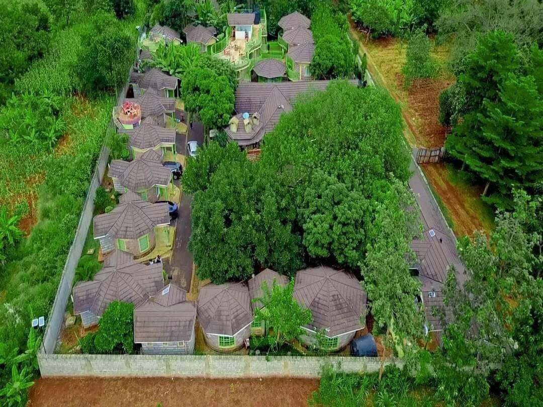 Zona residencial con varias casas, un espacio verde central y una calle pavimentada.