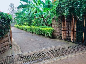 A paved pathway leading to a gated area with lush greenery and a stone wall on one side.