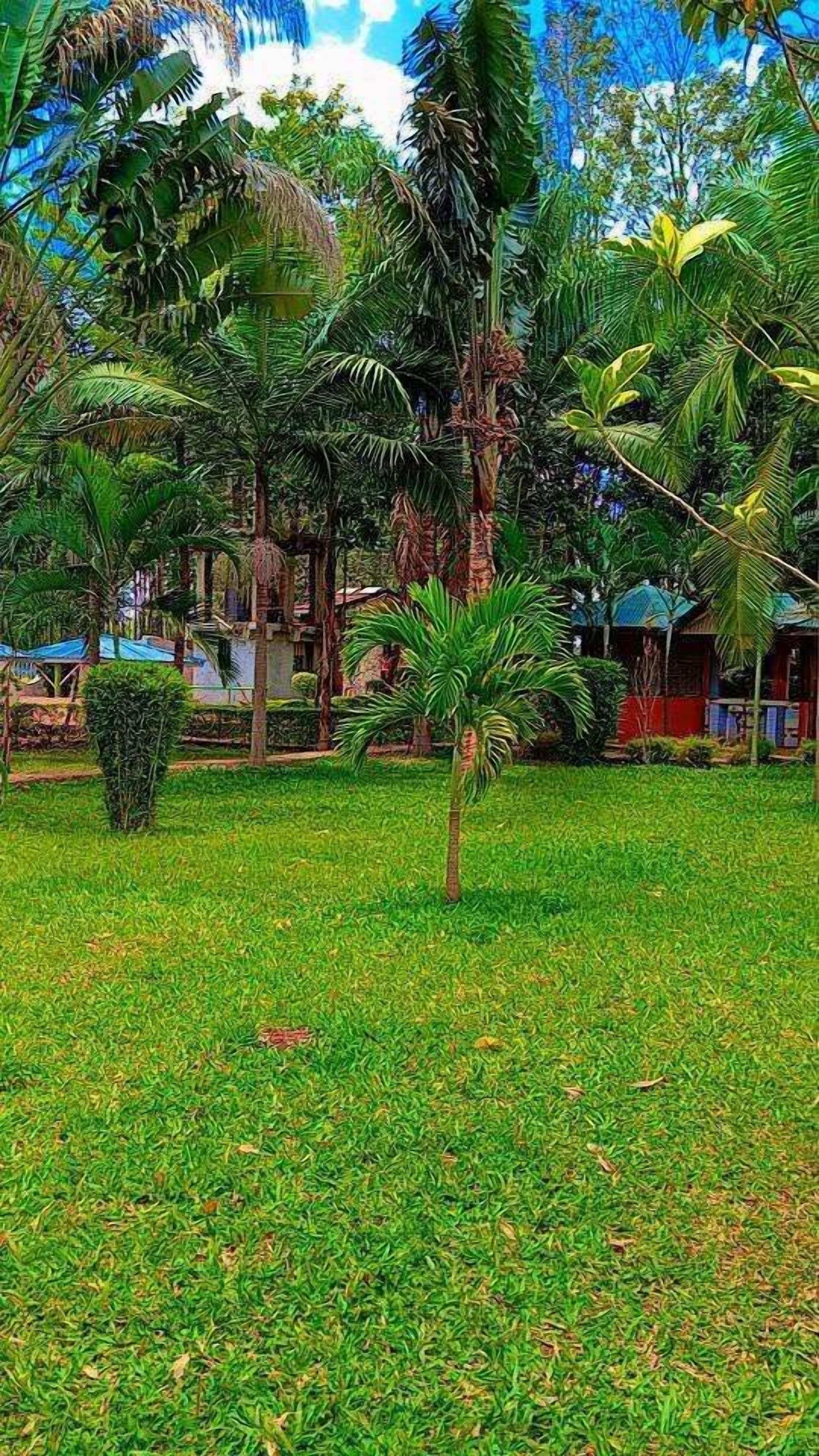 Jardín