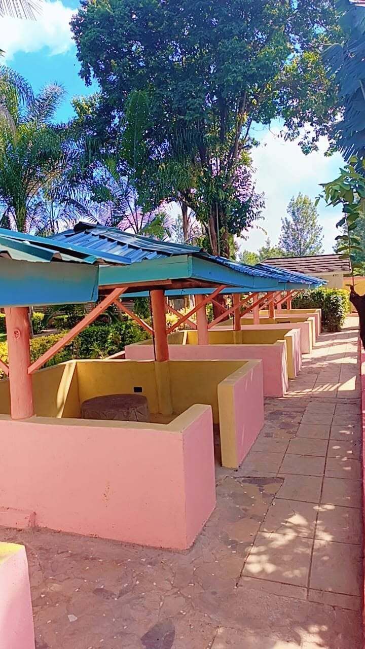 A row of outdoor seating areas with blue roofs and pink walls, surrounded by trees.