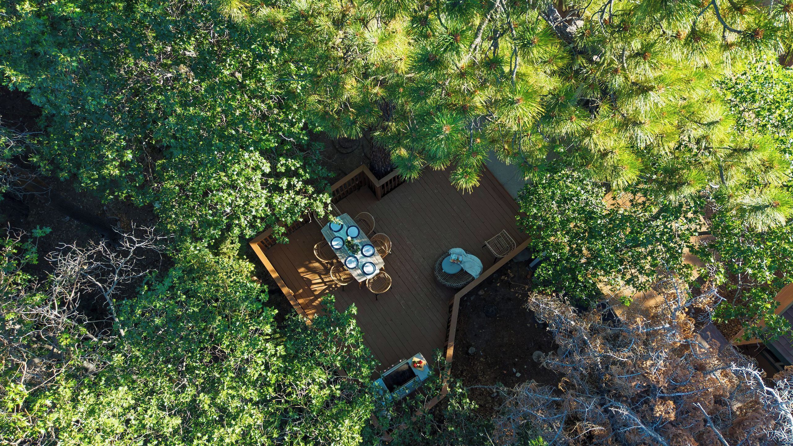 An aerial view of a deck with a table and chairs, surrounded by dense foliage.
