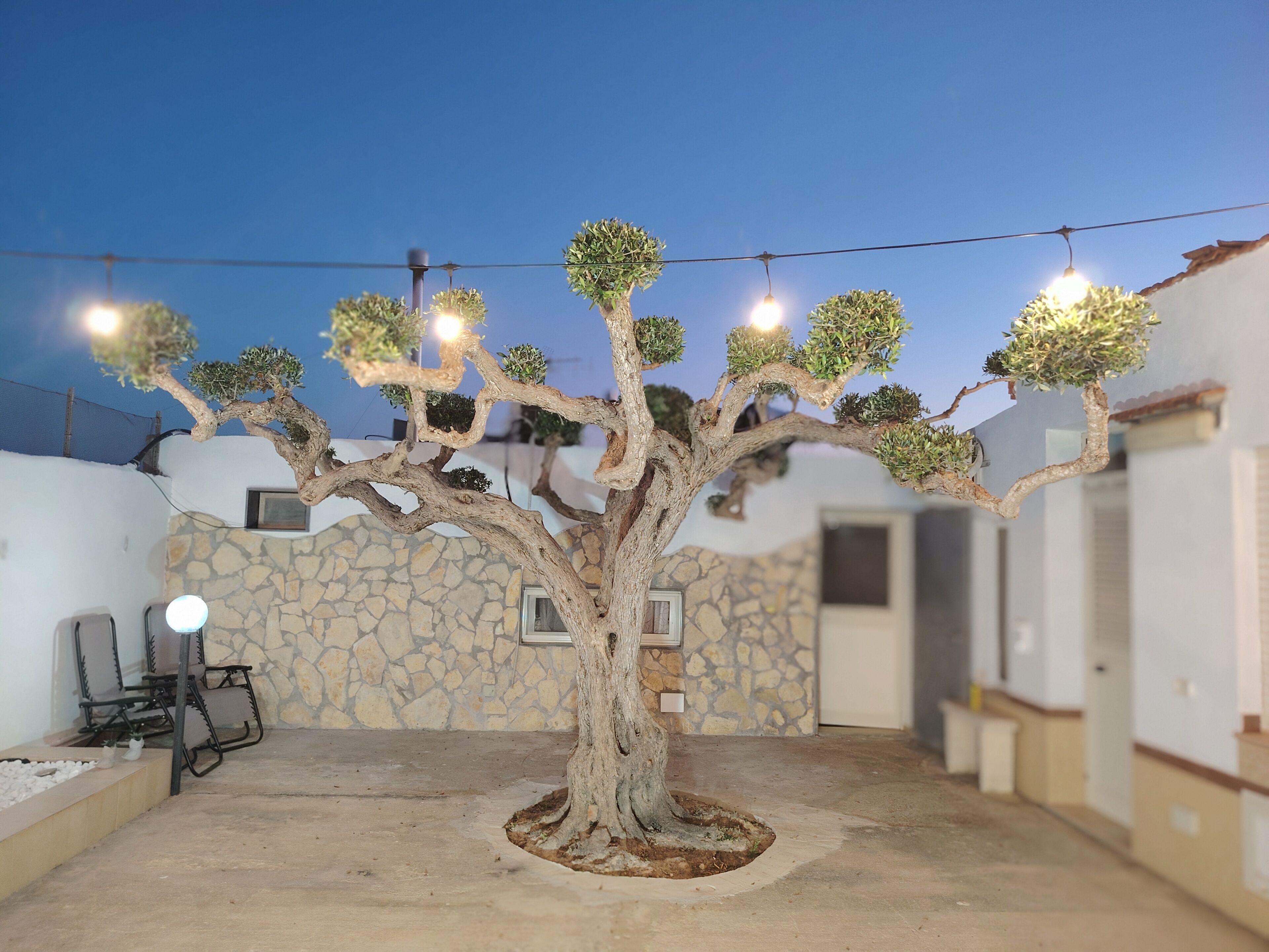 A tree with multiple lights in a courtyard with stone walls and outdoor furniture.