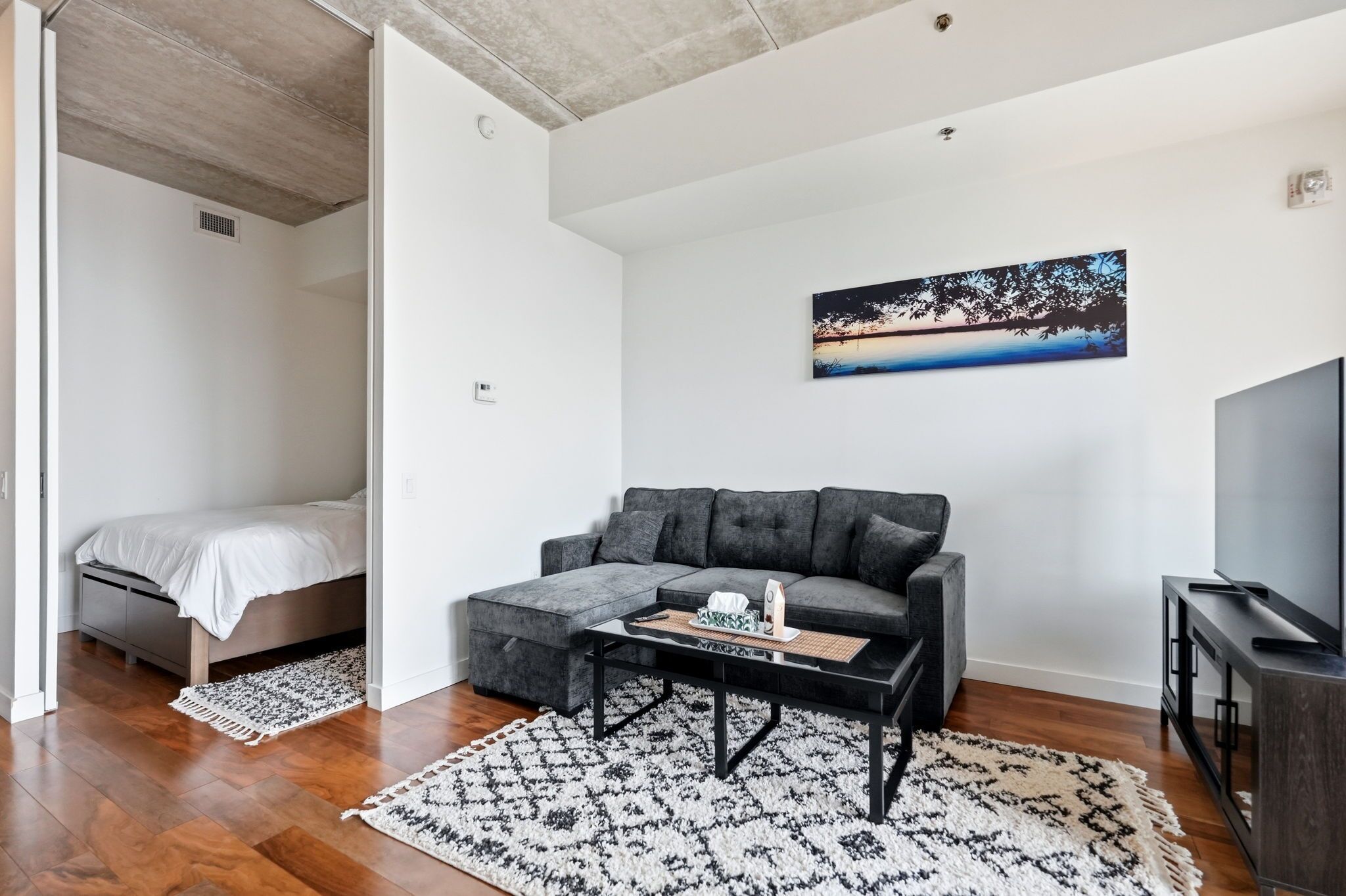 Un salon moderne avec un canapé gris, une table basse, un téléviseur et un tableau accroché au mur.