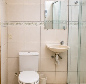 A bathroom with a toilet, sink, and a mirror.