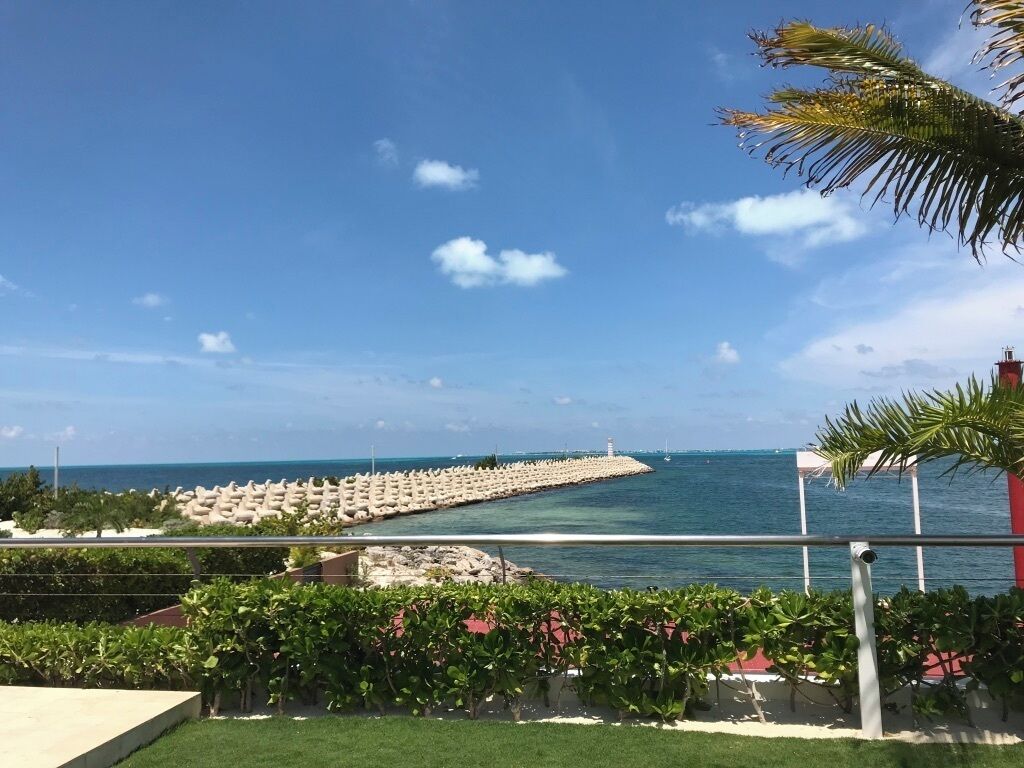 A coastal view with a breakwater, palm trees, and a clear sky.