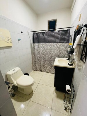 Shower, hair dryer, towels, soap