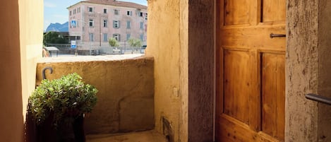 A narrow balcony with a wooden door, a potted plant, and a view of a building in the background.
