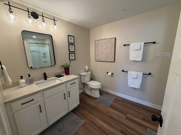 Shower, hair dryer, towels, soap