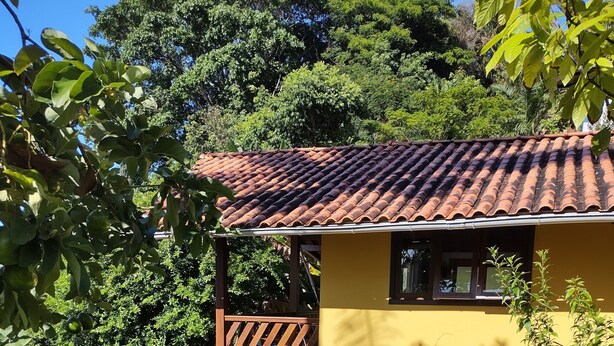 Un edificio amarillo con techo de tejas, rodeado de abundante vegetación y un balcón de madera.