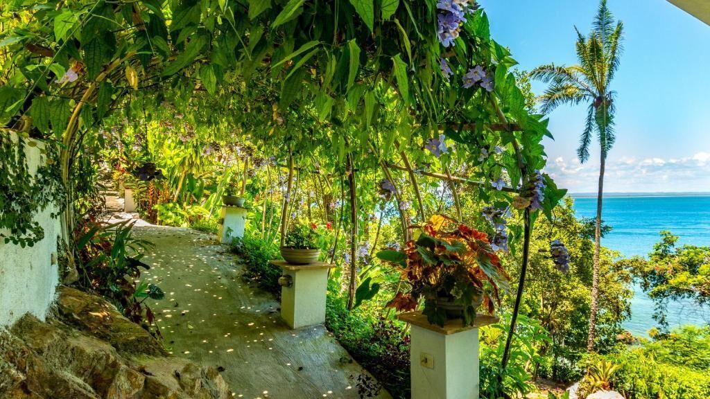 Un sendero serpentea por un jardín exuberante con vistas al océano.