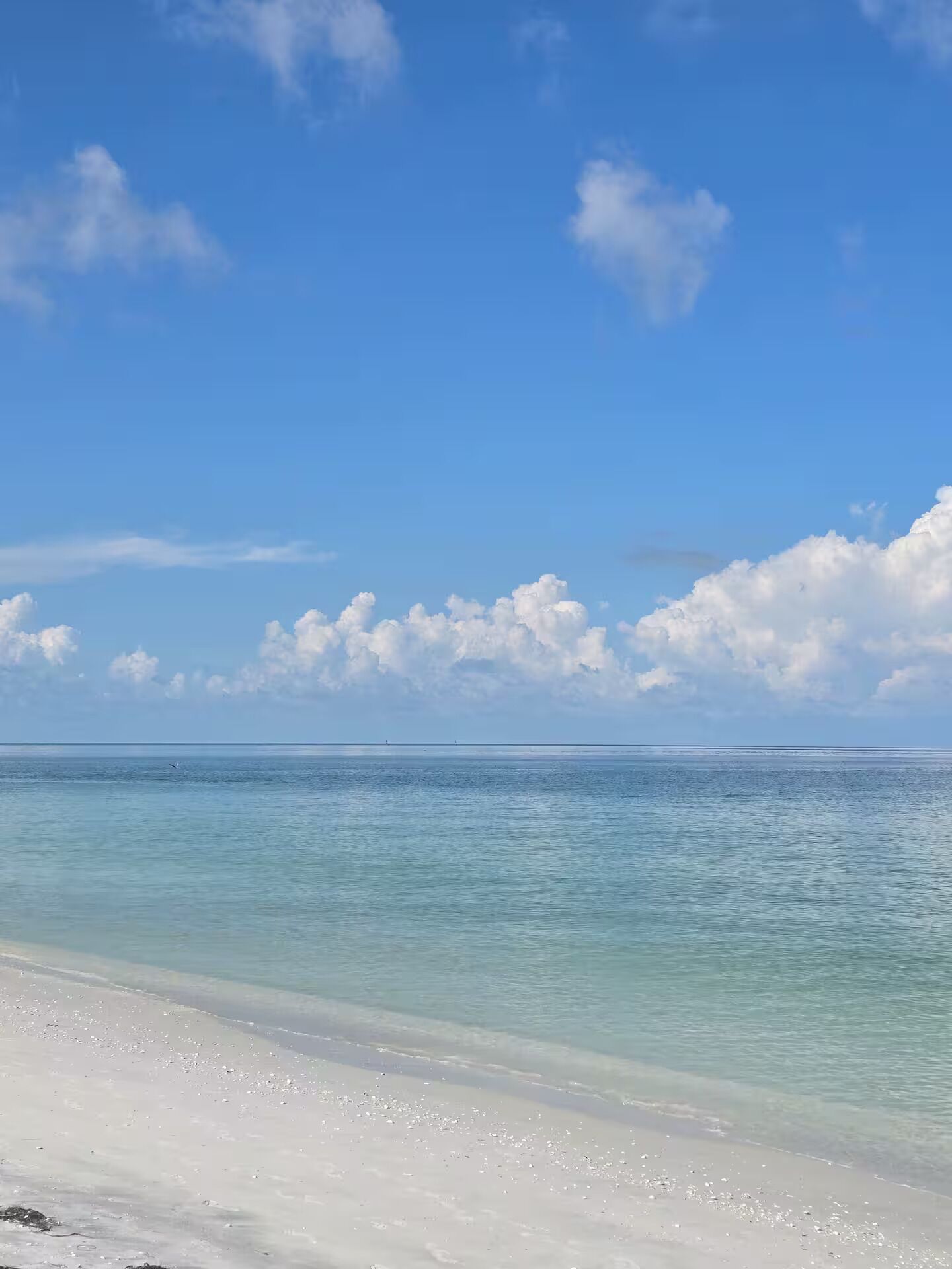 A beach with clear blue water and a sandy shore.