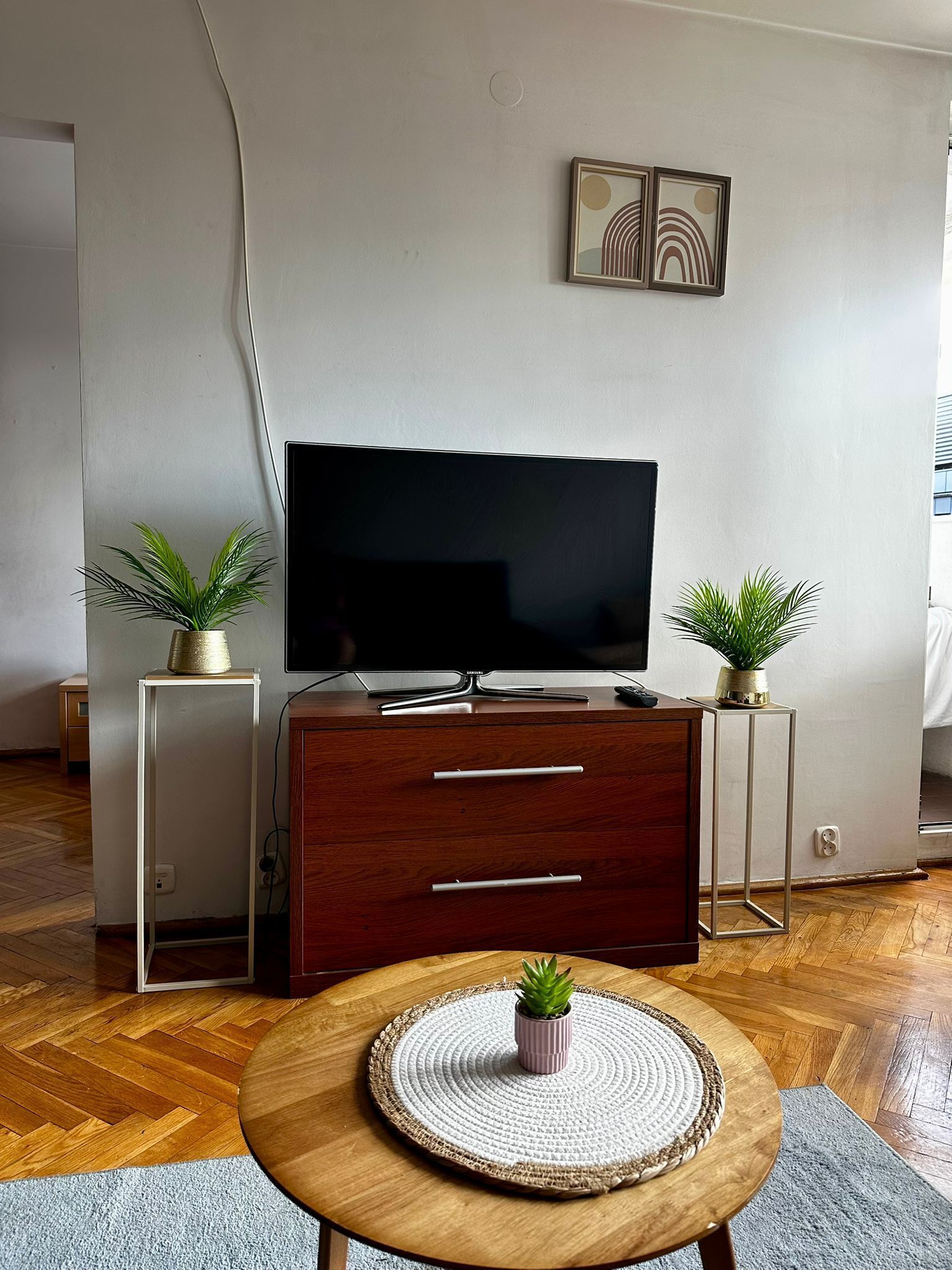Un salon moderne avec un téléviseur à écran plat posé sur un meuble en bois, deux plantes en pot, une table en osier et un parquet à motifs chevrons.