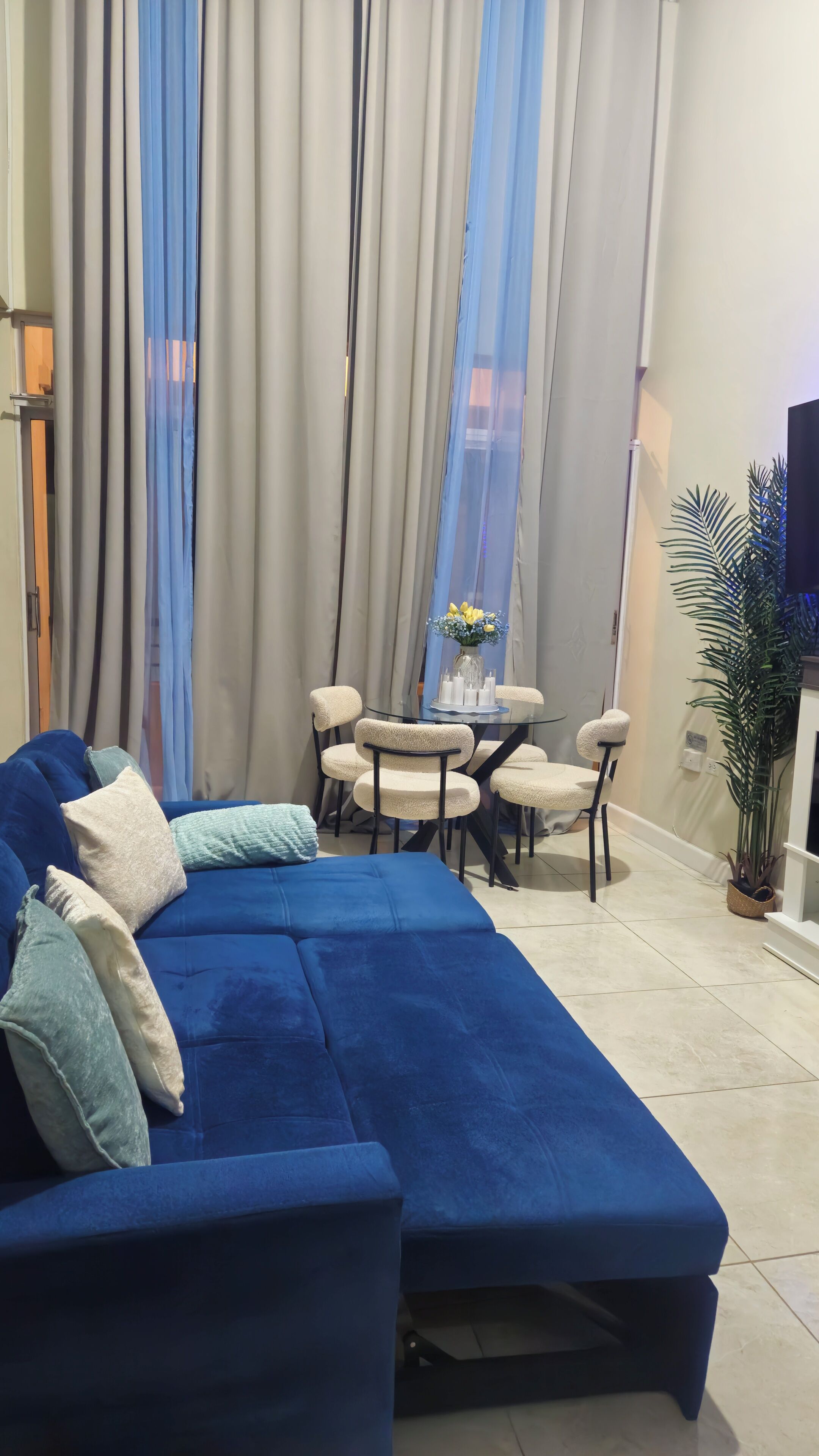 Een woonkamer met een blauwe bank, een eettafel met stoelen en een potplant.