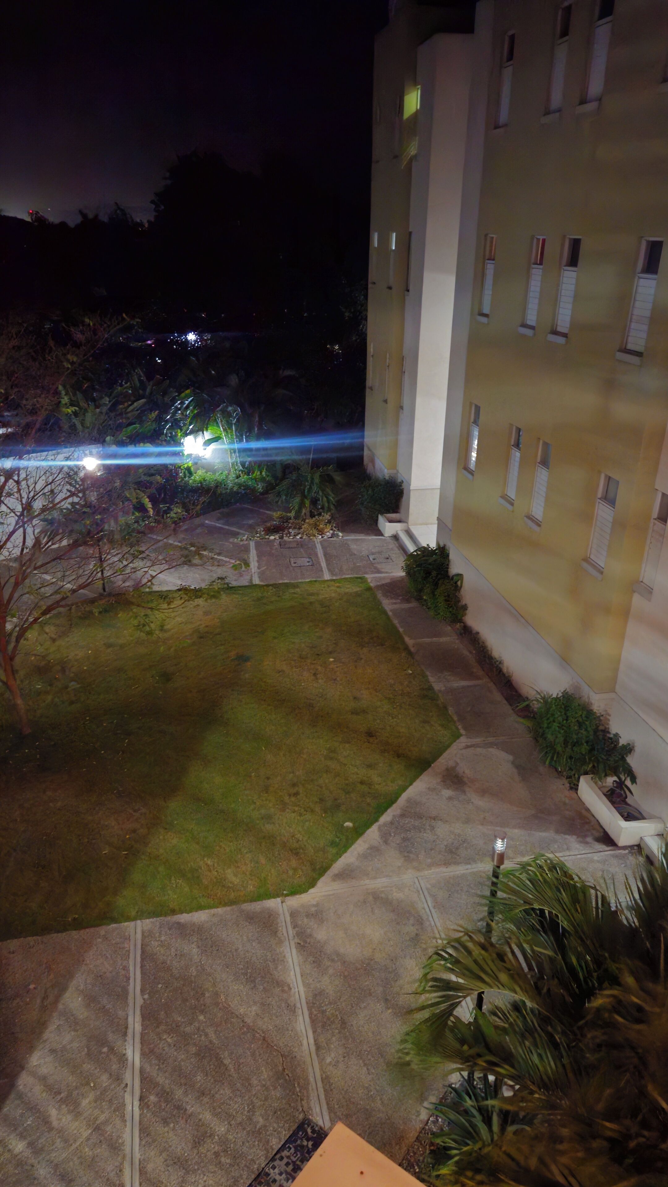 A courtyard with a grassy area, a paved walkway, and a building with multiple windows.