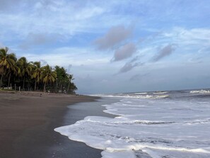 A beach with palm trees and waves. - Boni Beach (Sonsonate)