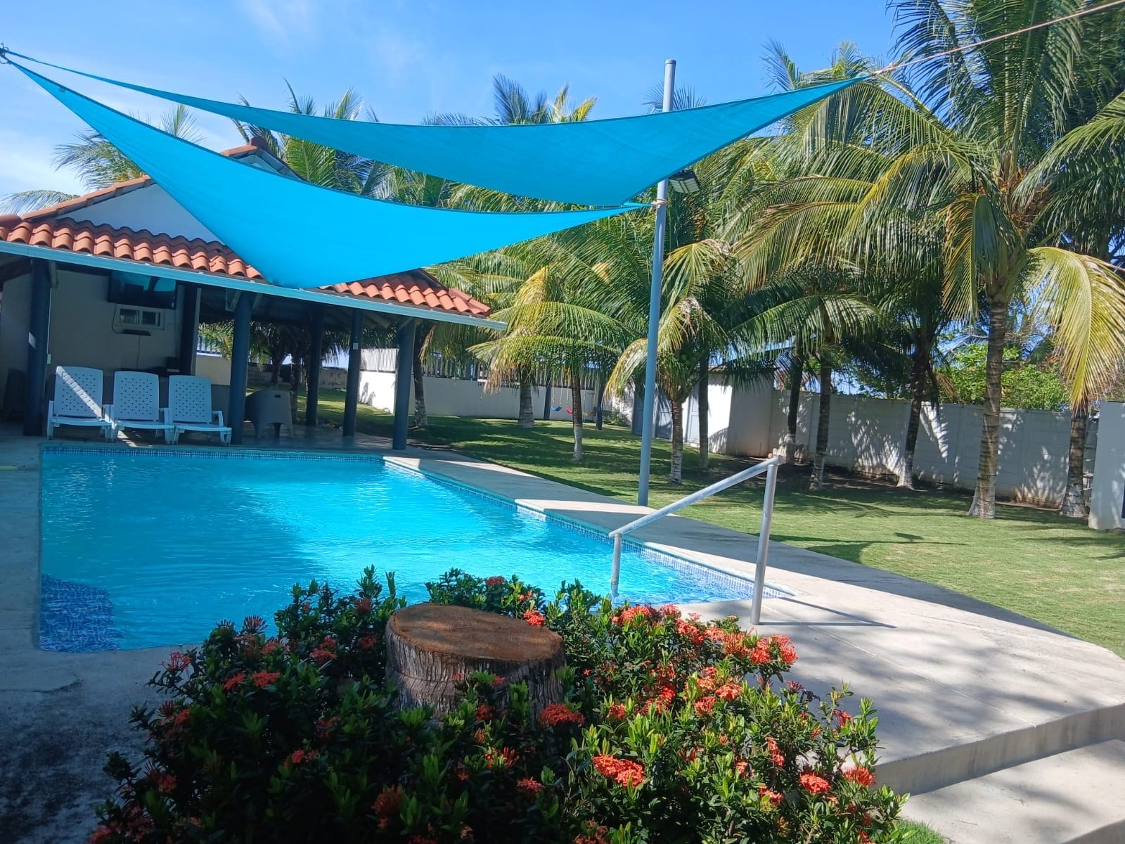A swimming pool with lounge chairs, a shaded area, and tropical vegetation.