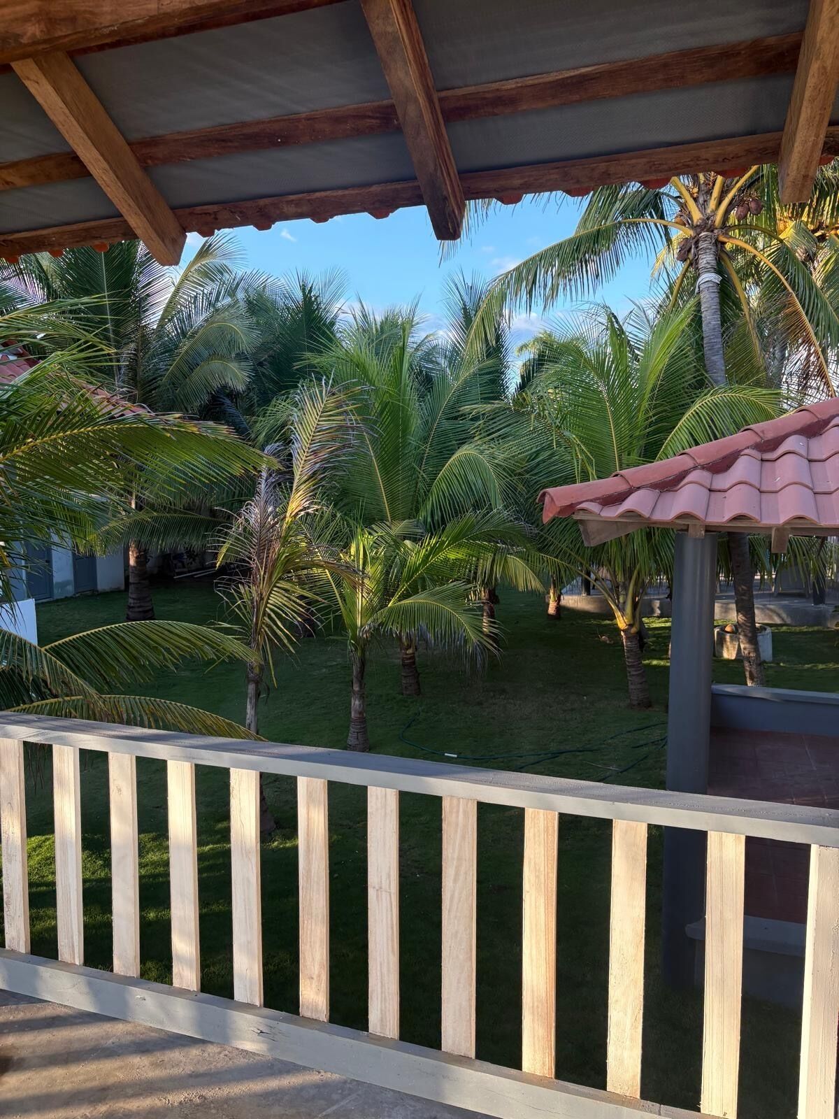 Terraza de madera con vista a un césped cuidado y palmeras.
